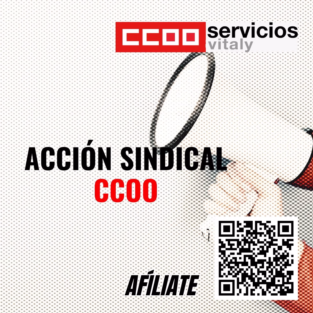 TRAYECTORIA DE TRABAJO DE LA SECCIÓN SINDICAL DE CCOO VITALY