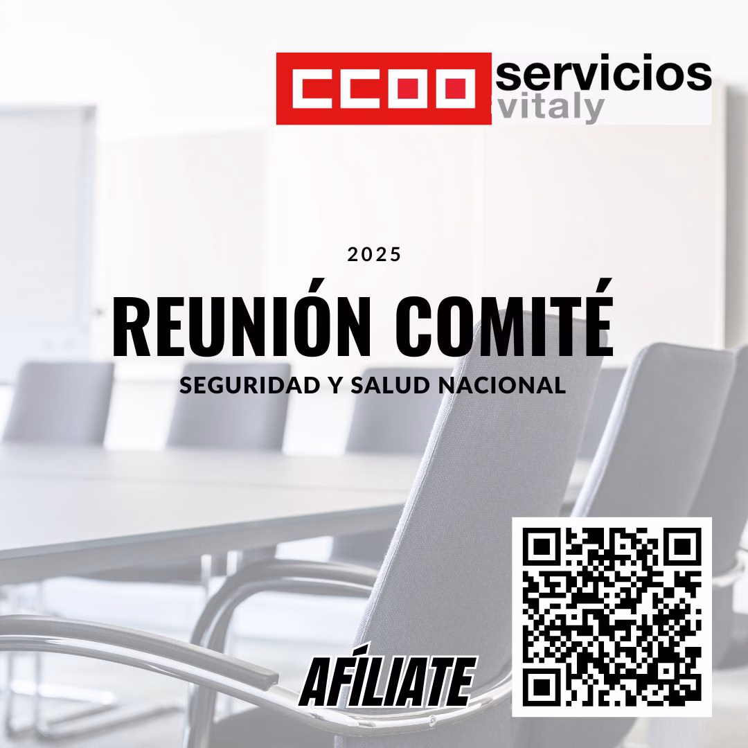 1ª REUNIÓN COMITÉ DE SEGURIDAD Y SALUD NACIONAL VÍTALY