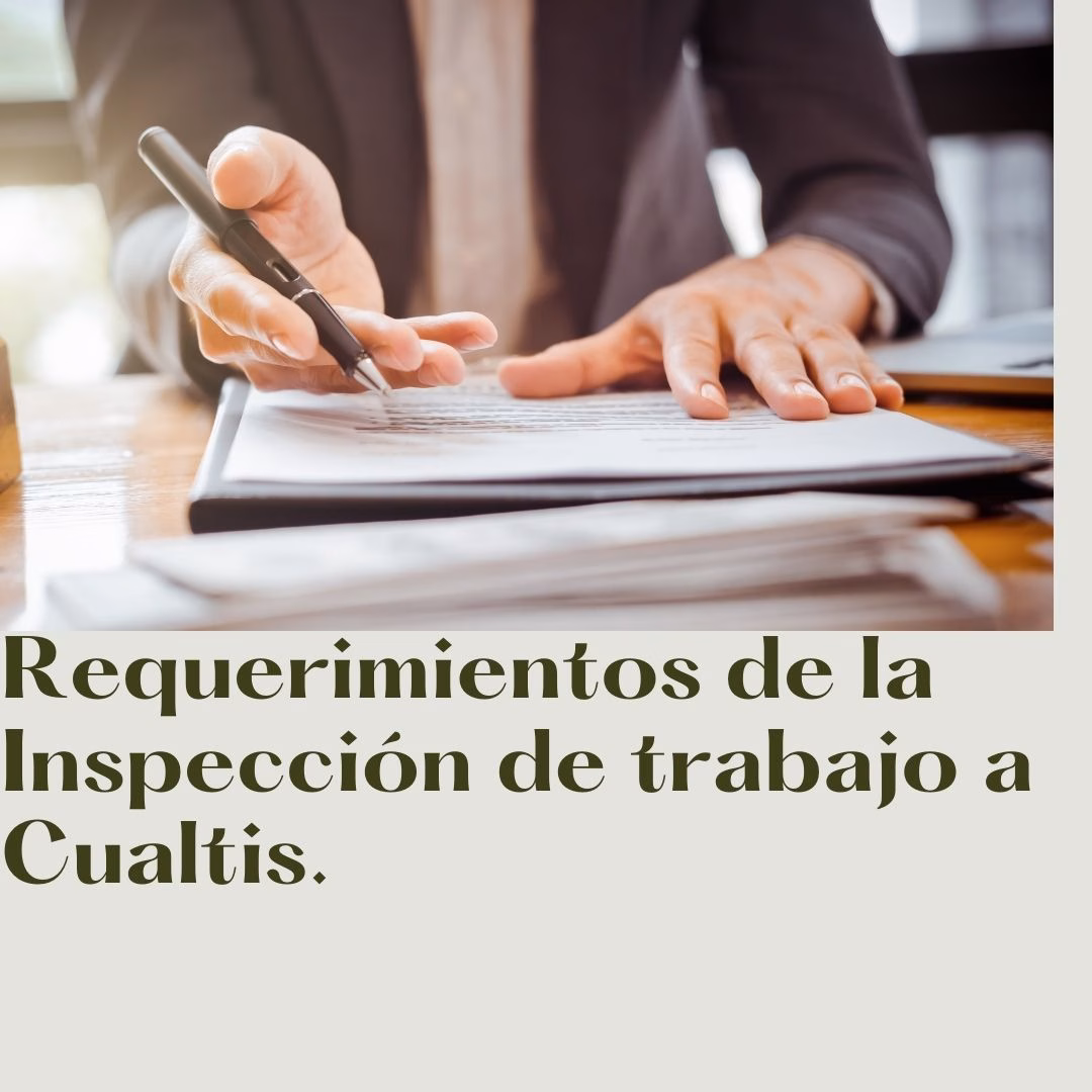 REQUERIMIENTOS DE LA INSPECCION DE TRABAJO.
TELETRABAJO, DESCONEXION DIGITAL, REGISTRO DE JORNADA, SERVICIO DE PREVENCION PROPIO, CARGAS DE TRABAJO