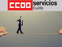 Reunión del Comité de Seguridad y Salud